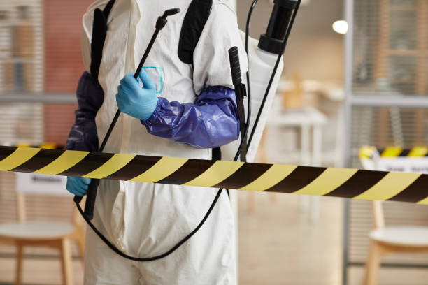 Professional Sewage Cleanup technician working in Tigerton, WI